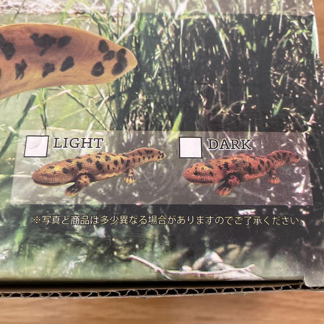 Amazon.co.jp: 全長約25cm リアルネイチャーシリーズ オオ